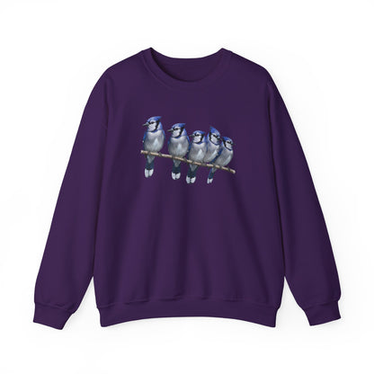 Blue Jays Sweatshirt | Bird Watcher Crewneck | Unisex Songbird Gift for Bird Lovers