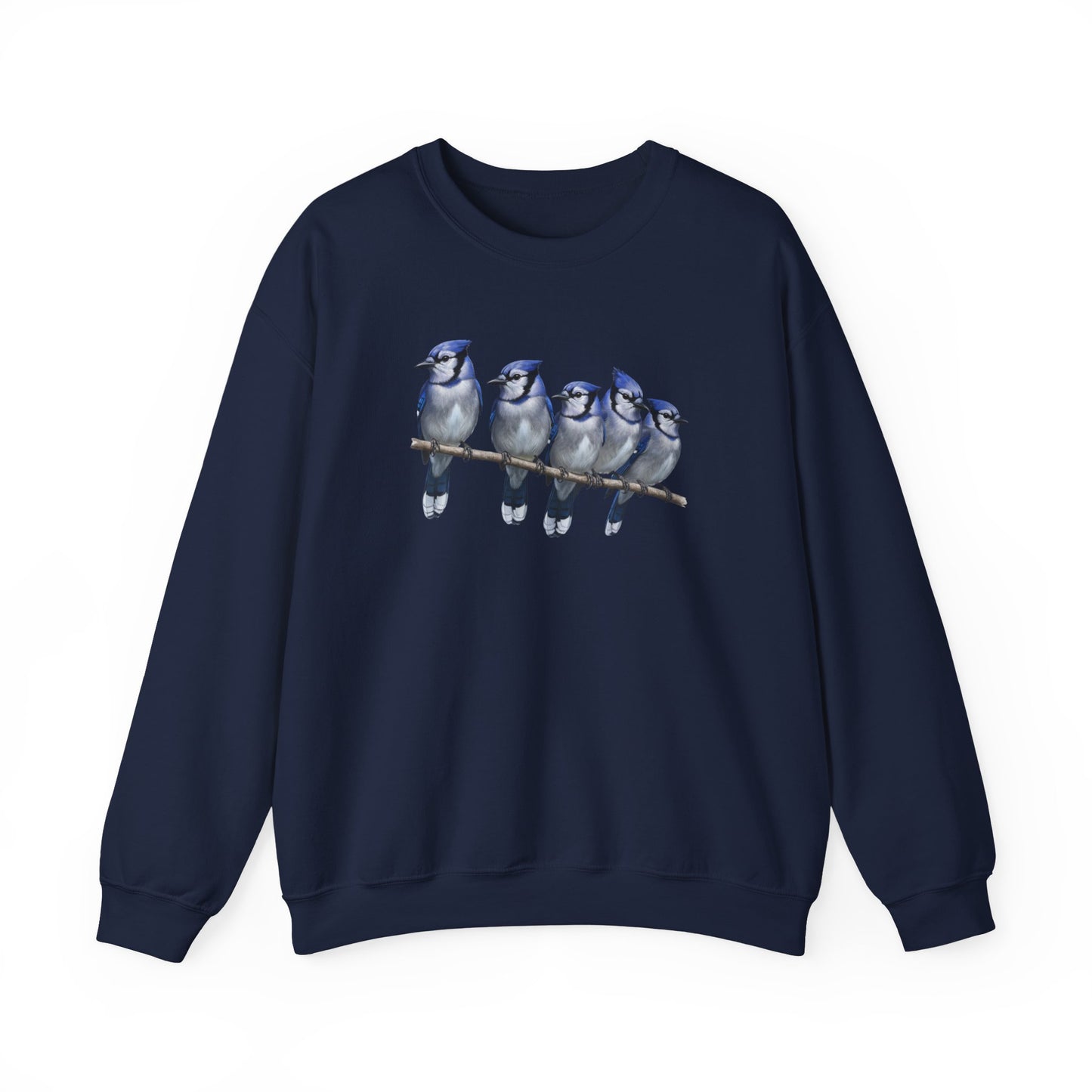 Blue Jays Sweatshirt | Bird Watcher Crewneck | Unisex Songbird Gift for Bird Lovers