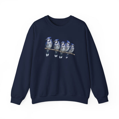Blue Jays Sweatshirt | Bird Watcher Crewneck | Unisex Songbird Gift for Bird Lovers