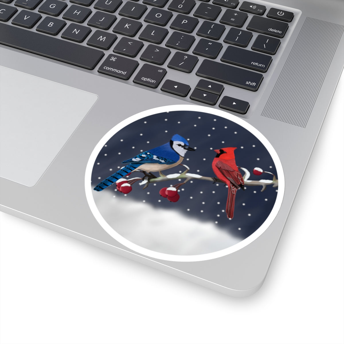 Blue Jay Cardinal on a Winter Branch Christmas Bird Sticker