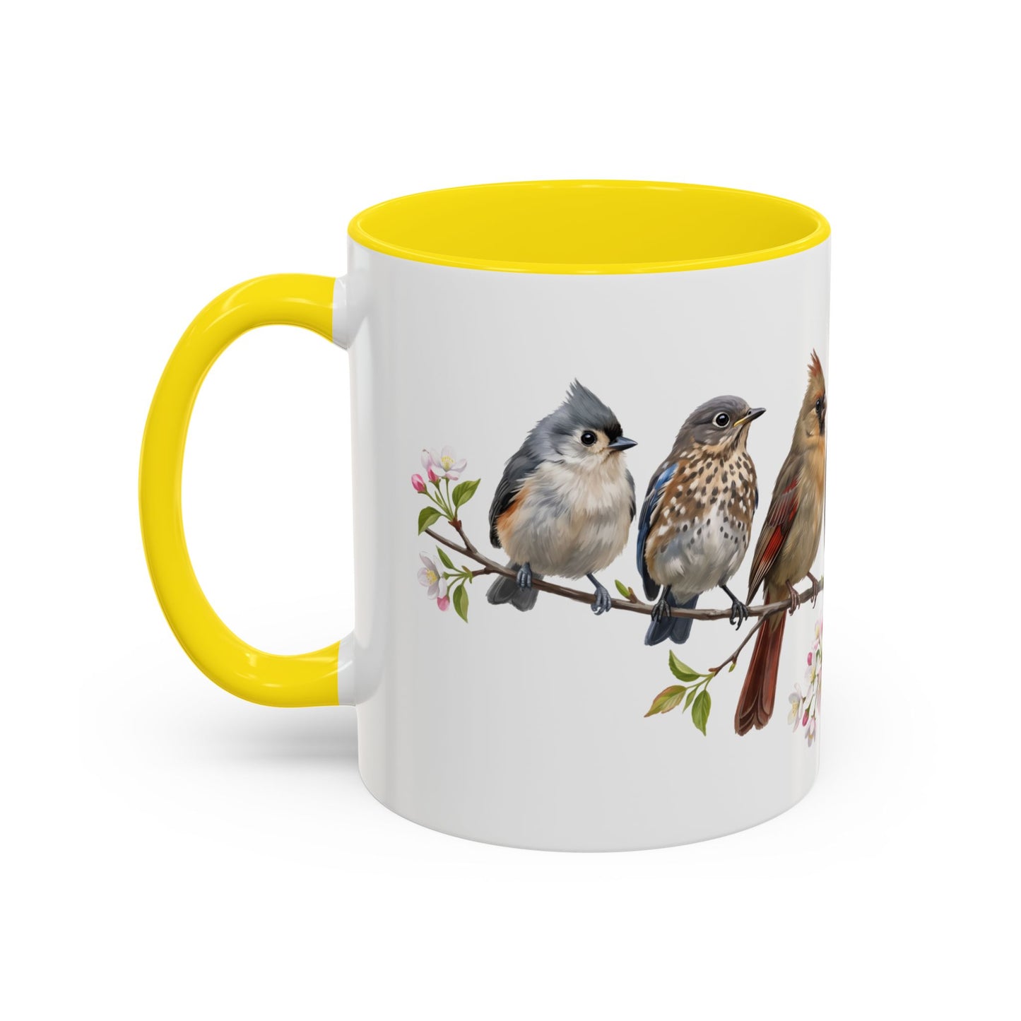 Blue Jay Cardinal Bluebird Little Owl Fledglings Two-Tone Mug | Spring Bird Lover Gift