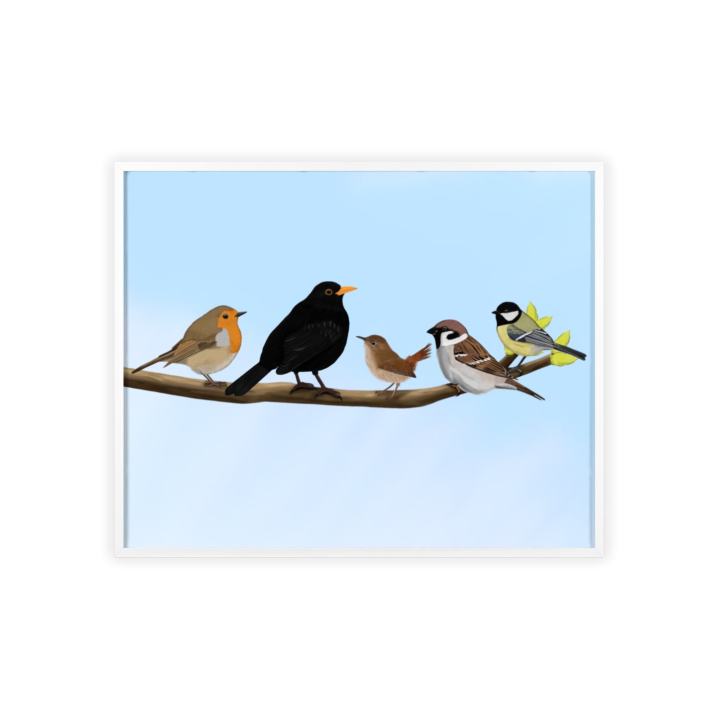 Vogel Poster im Holzrahmen - Vögel auf einem Ast Poster Amsel Rotkehlchen Zaunkönig Spatz Kohlmeise