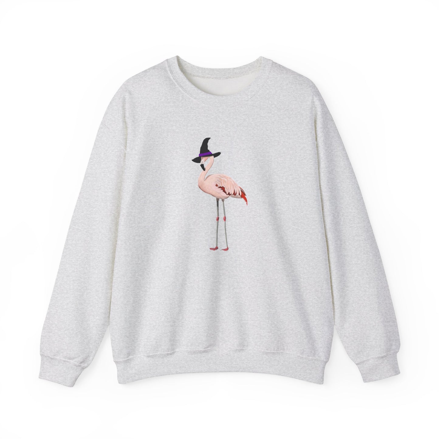 Flamingo Halloween Birds Witch Birdwatcher Sweatshirt