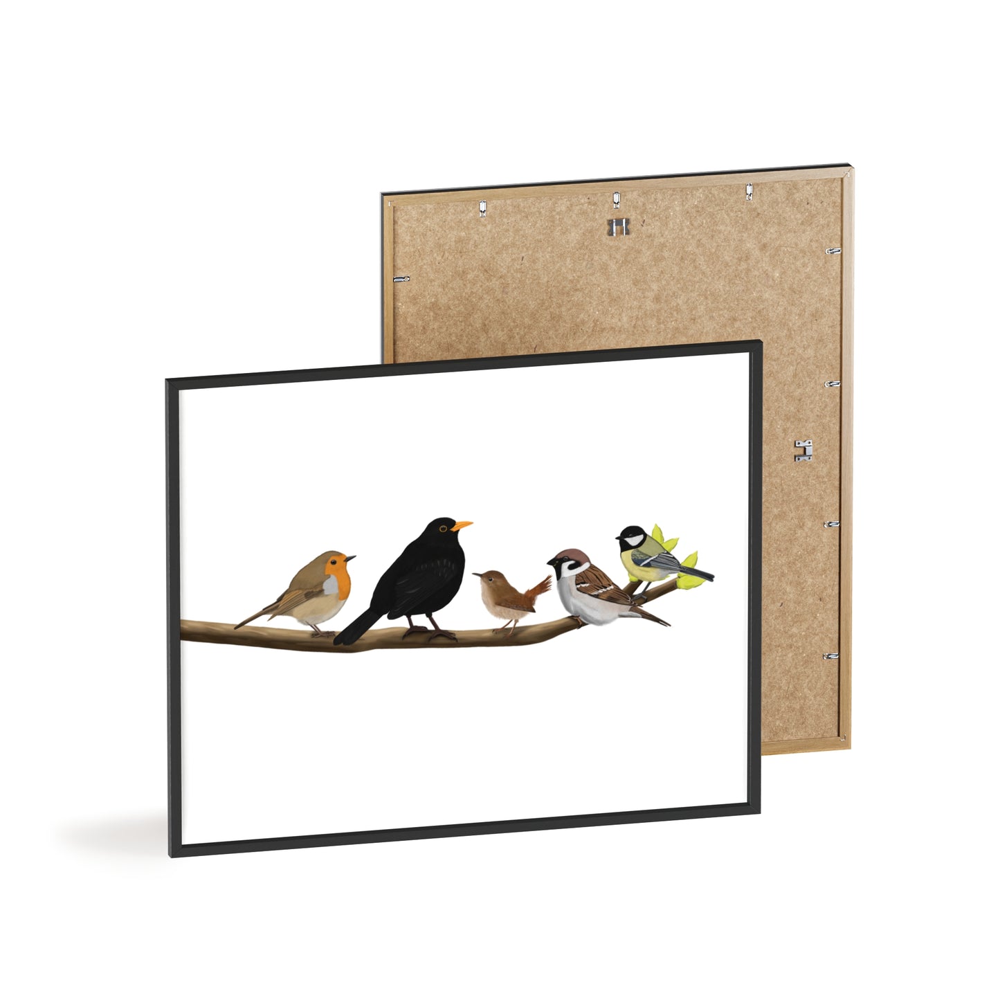Vogel Poster im Holzrahmen - Vögel auf einem Ast Poster Amsel Rotkehlchen Zaunkönig Spatz Kohlmeise