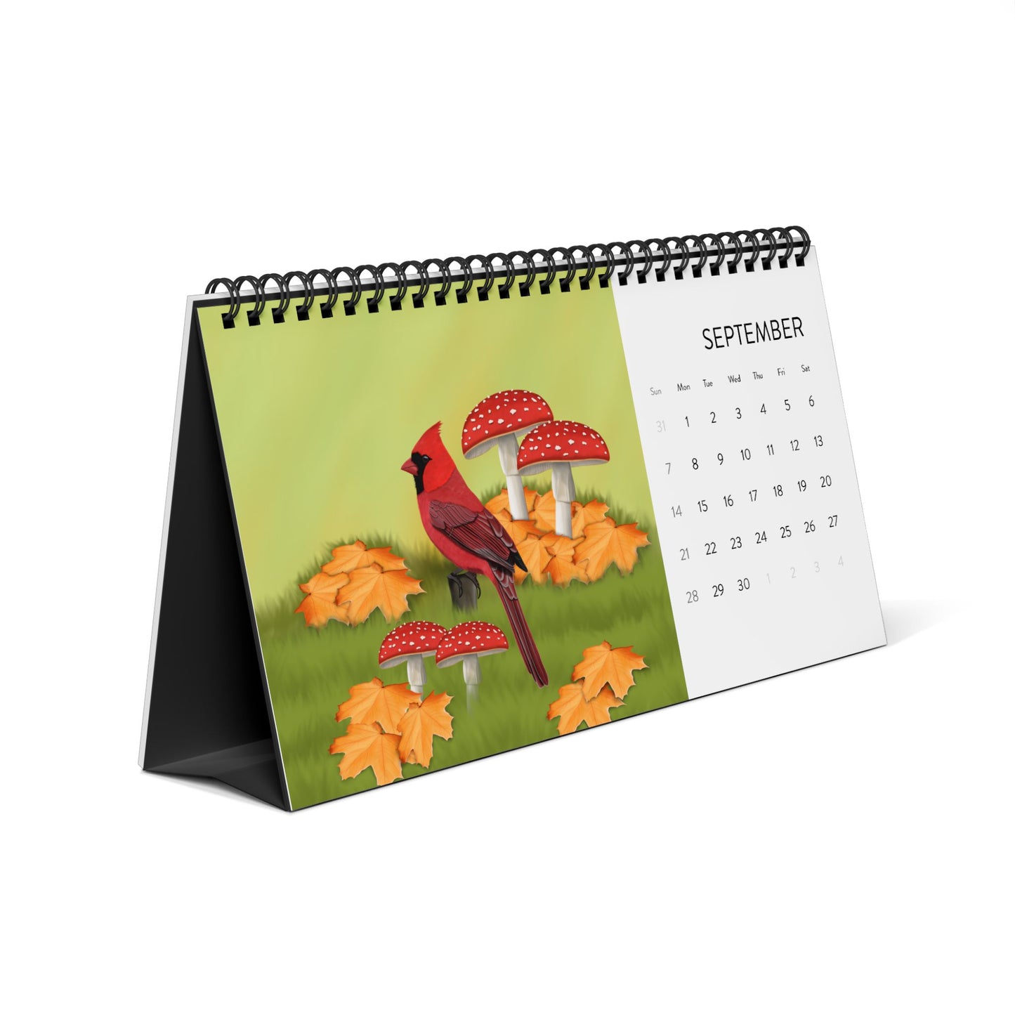 Backyard Birds Blue Jay Cardinal Robin Desktop Calendar with 2025 Grid