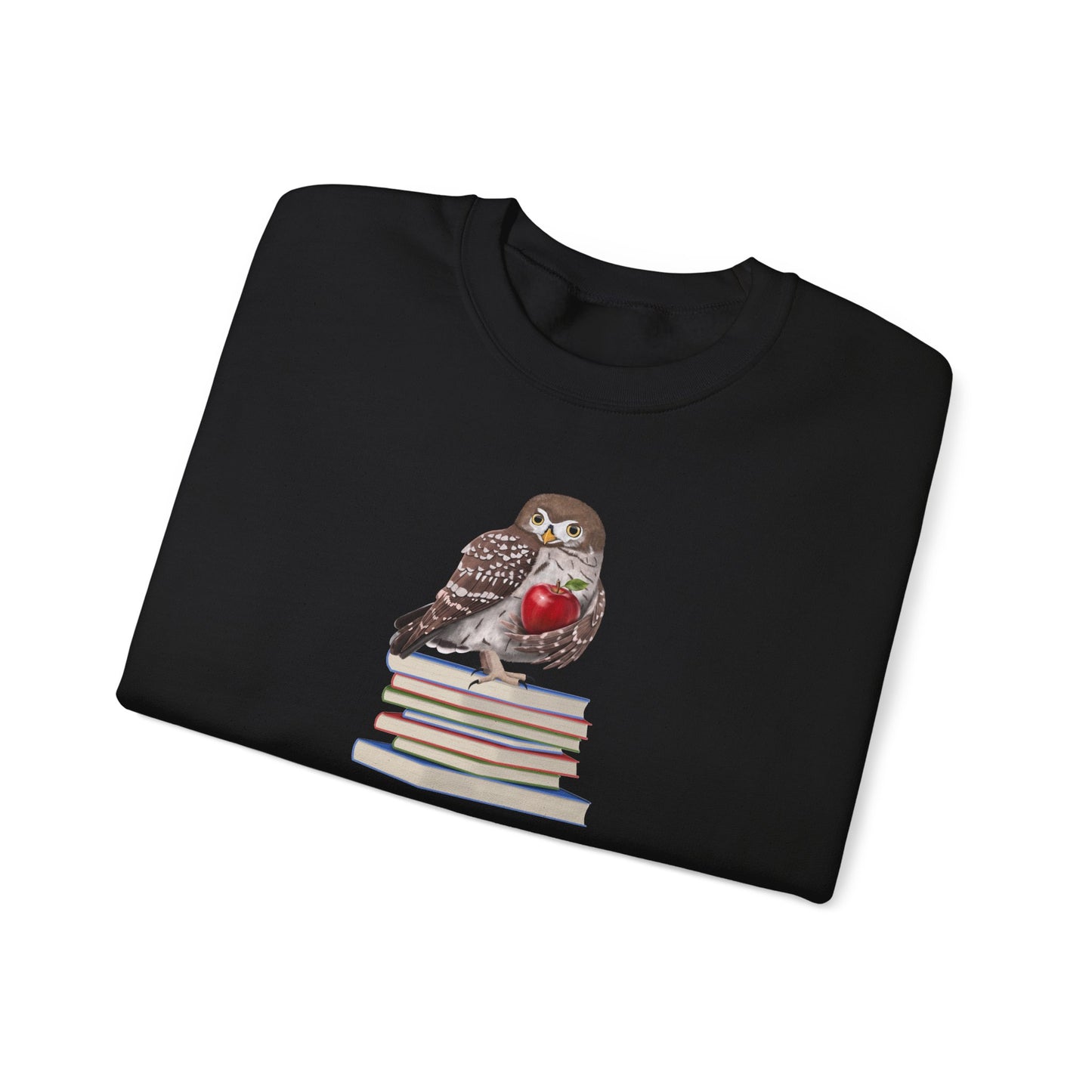 Cute Owl on Books Teacher Sweatshirt – Cozy Back to School Aesthetic