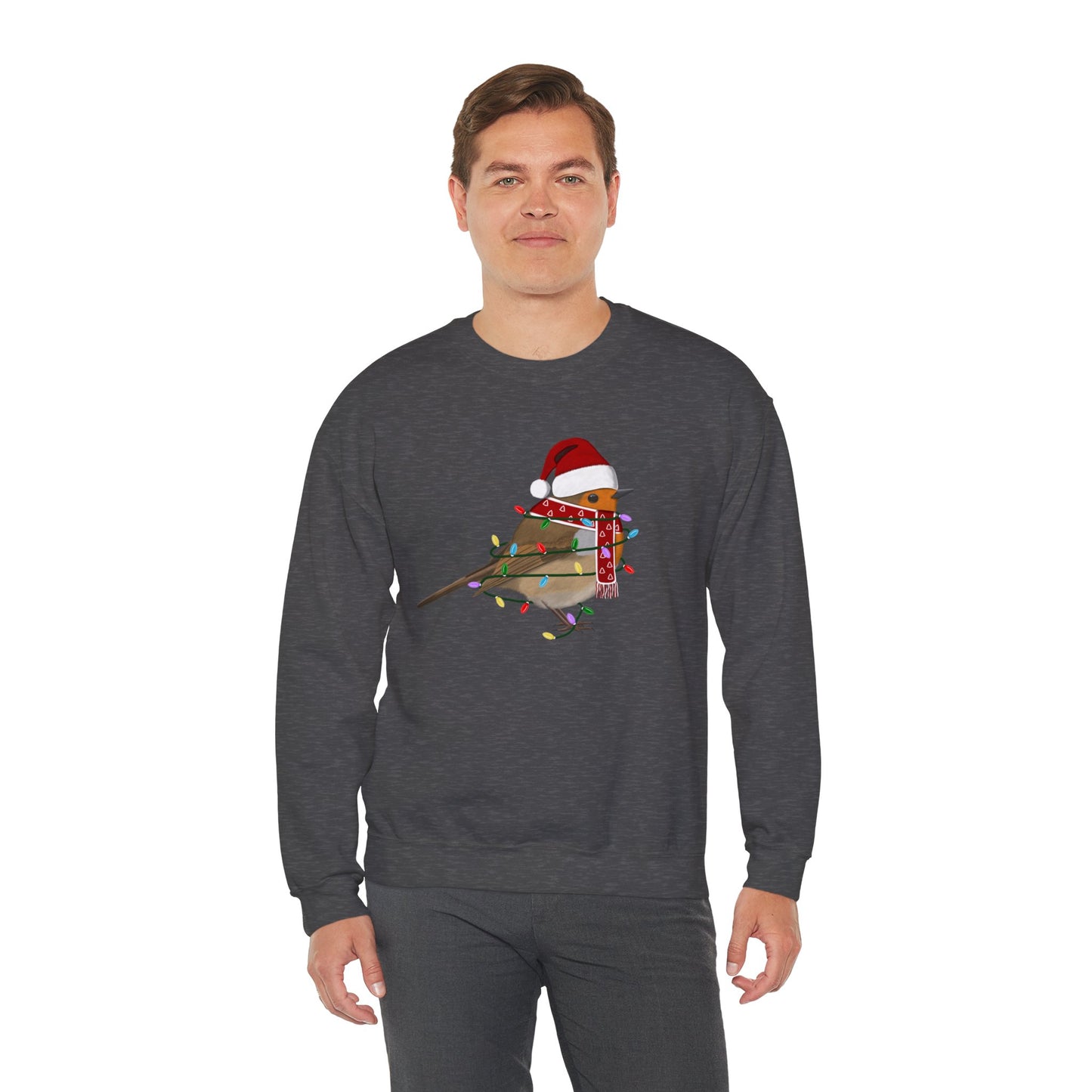 European Robin with Fairy Lights Santa Claus Christmas Bird Sweatshirt