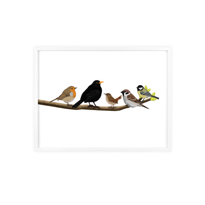 Vogel Poster im Holzrahmen - Vögel auf einem Ast Poster Amsel Rotkehlchen Zaunkönig Spatz Kohlmeise