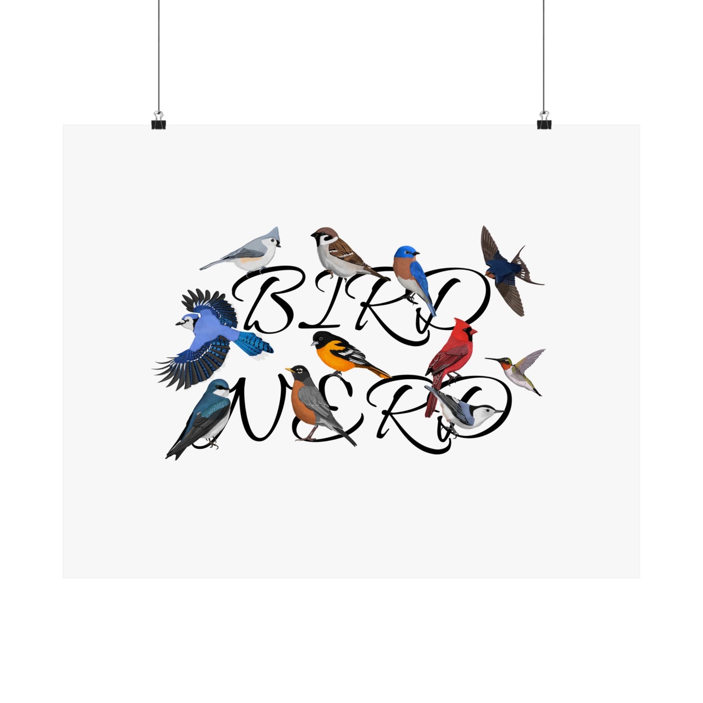 Bird Nerd Robin Cardinal Blue Jay Bird Birding Matte Poster