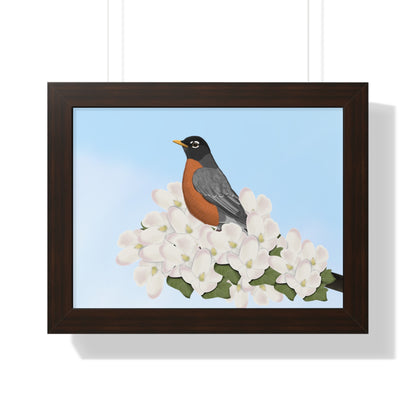 Robin Spring Blossoms Bird Framed Poster