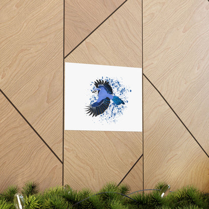 Blue Jay Bird Artwork Matte Poster