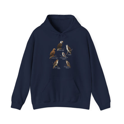 North American Raptors Hoodie – Bald Eagle, Hawk & Osprey Pullover