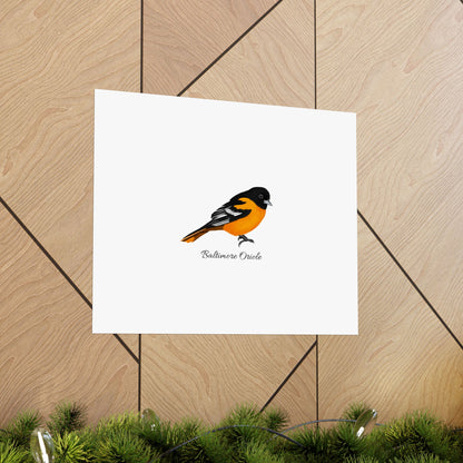 Baltimore Oriole Bird Birding Matte Poster