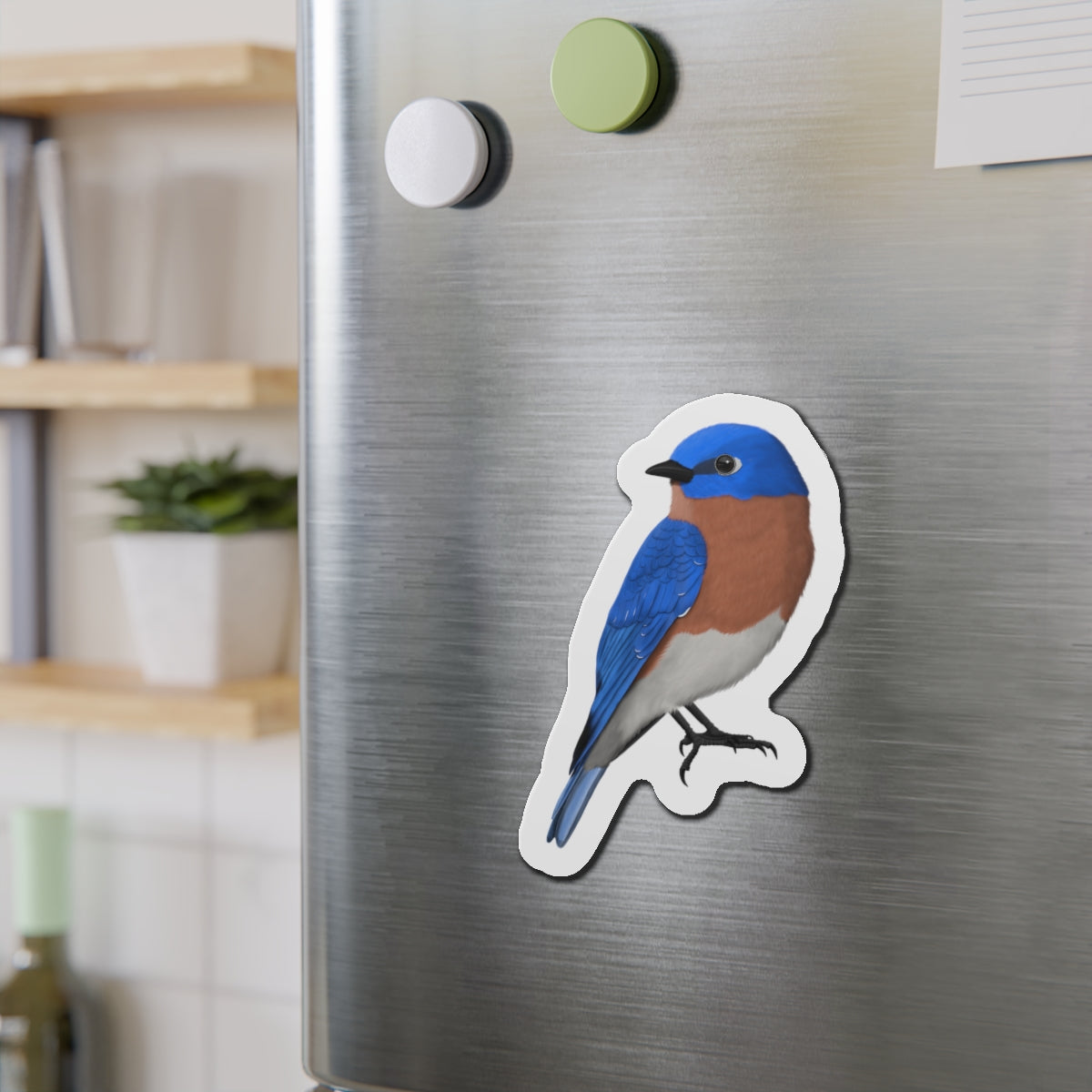 Bluebird Bird Magnet