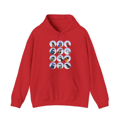 Birds Hoodie Bluebird Cardinal Blue Jay Robin Oriole Bird Lover & Bird Watcher
