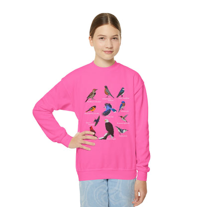 Bald Eagle Blue Jay Bluebird Robin Cardinal Hummingbird Bird Birdwatching Youth Crewneck Sweatshirt