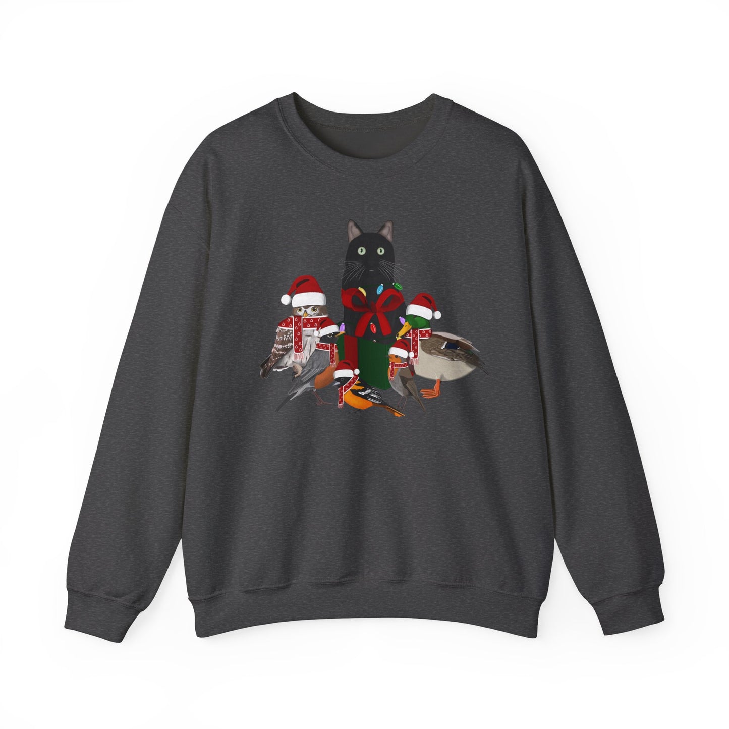 Robin Mallard Oriole Owl with Cat in a Box and Fairy Lights Birdwatcher Christmas Bird Sweatshirt