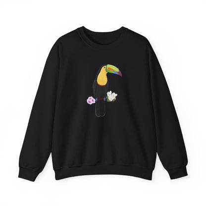 Keel-Billed Toucan Birdlover Ornithologist Bird Sweatshirt