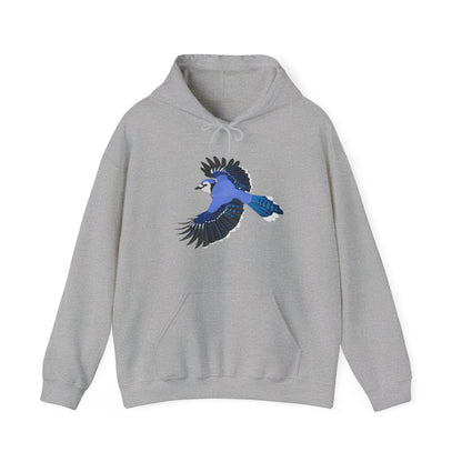 Blue Jay Bird Birdwatcher Biologist Birdlover Hoodie