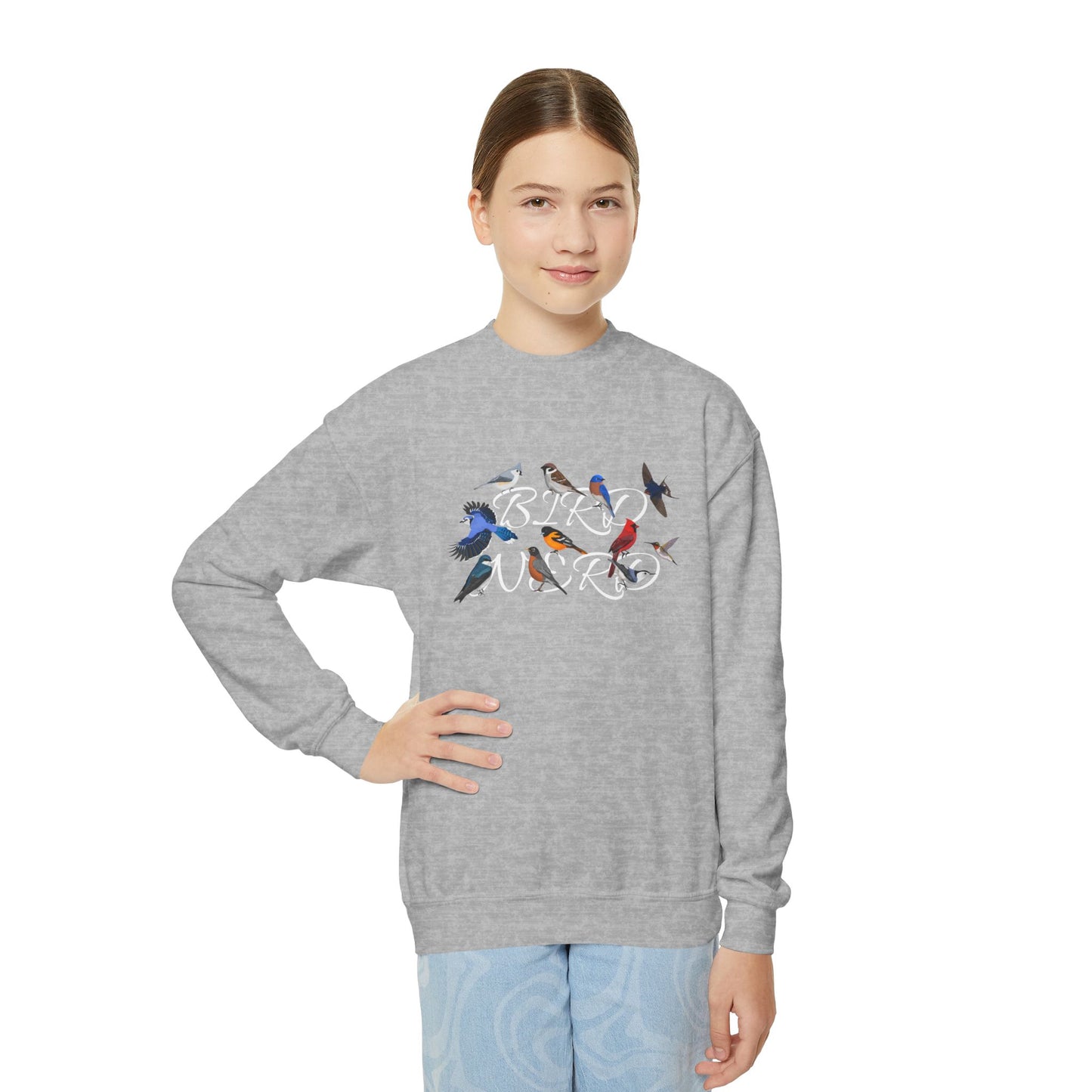 Bird Nerd Blue Jay Oriole Robin Barn Swallow Nuthatch Bird Birdwatching Youth Crewneck Sweatshirt