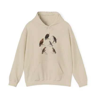 North American Raptors Hoodie – Bald Eagle, Hawk & Osprey Pullover
