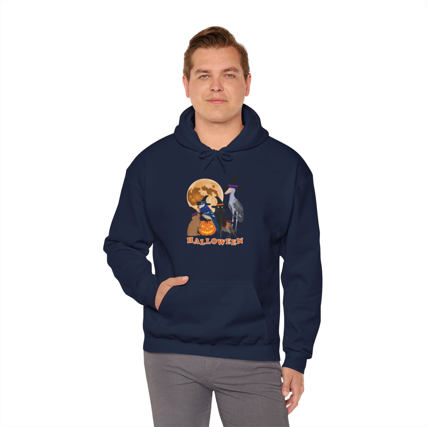 Blue Jay Robin Shoebill with Cat and Bunny Halloween Bird Hoodie