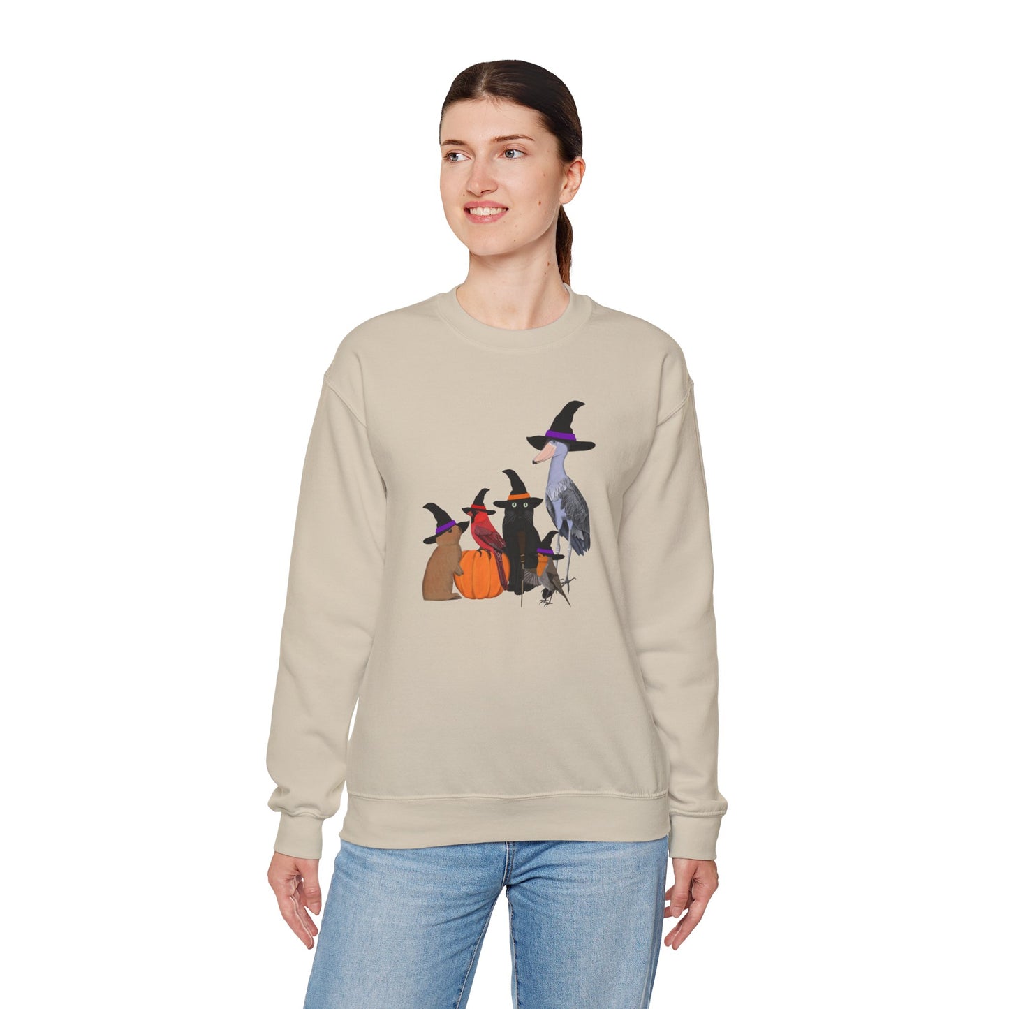 Robin Shoebill Cardinal Rabbit with Cat Happy Halloween Birds Sweatshirt