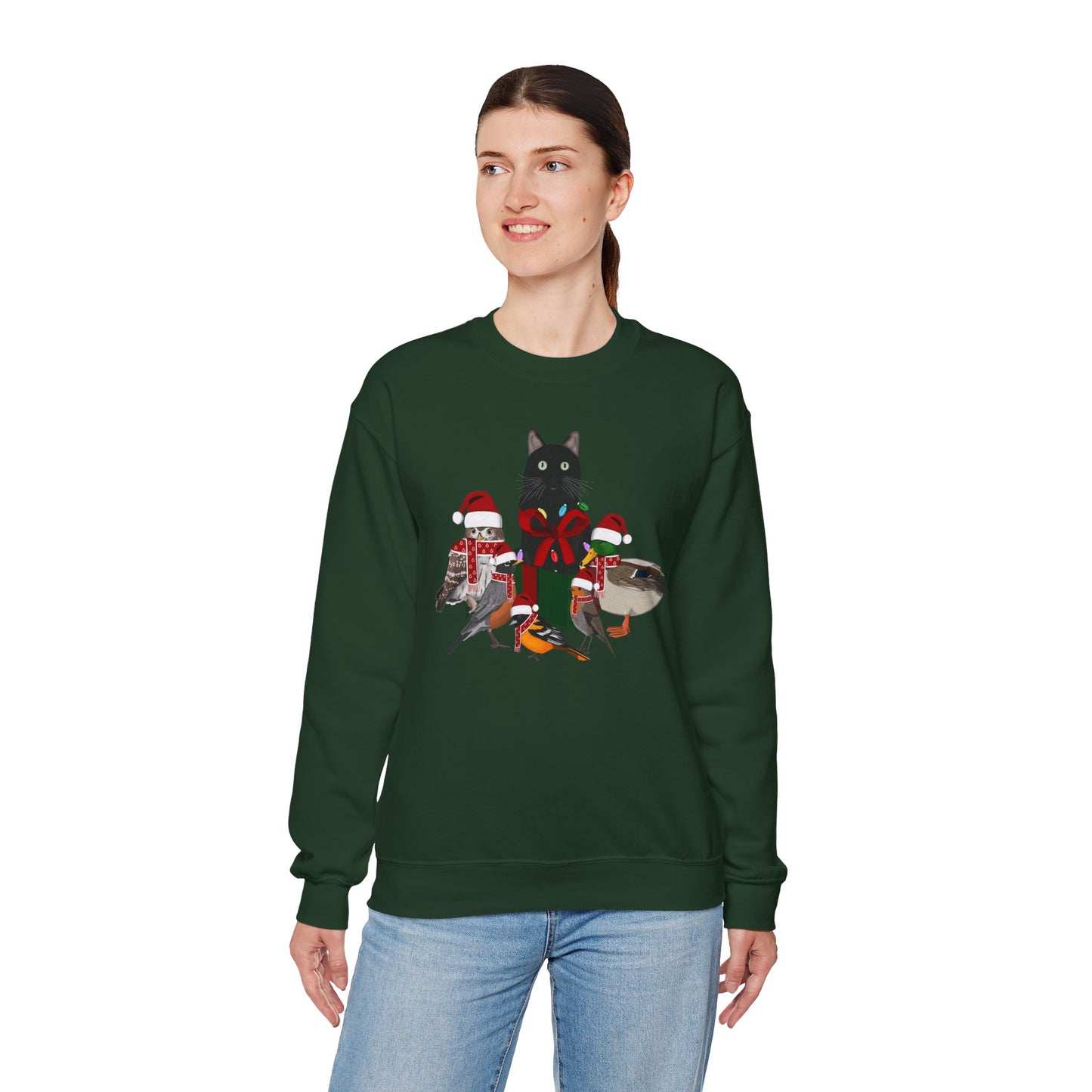 Robin Mallard Oriole Owl with Cat in a Box and Fairy Lights Birdwatcher Christmas Bird Sweatshirt