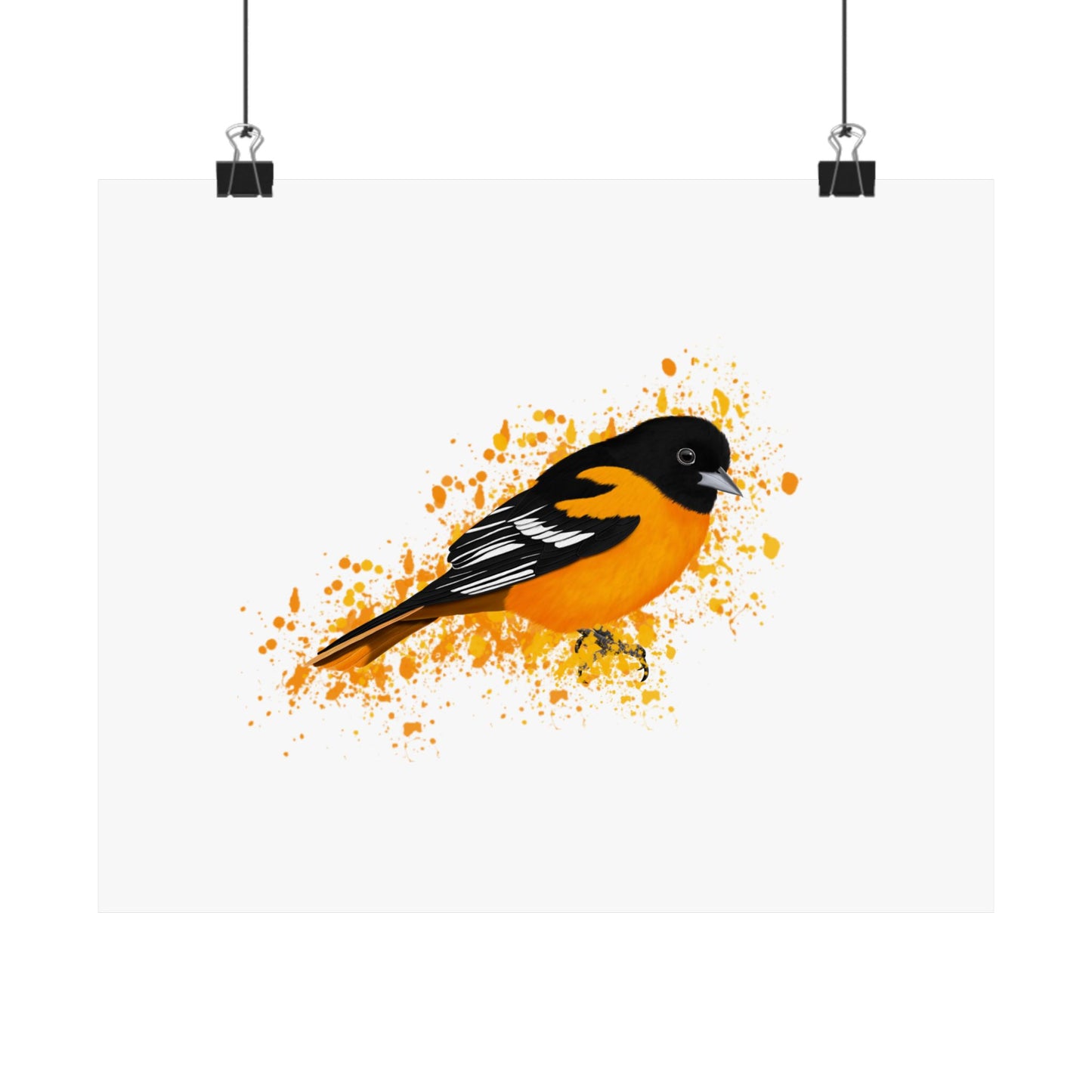 Baltimore Oriole Bird Artwork Matte Poster