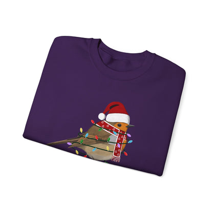 European Robin with Fairy Lights Santa Claus Christmas Bird Sweatshirt