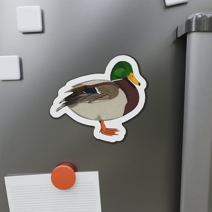 Mallard Bird Magnet