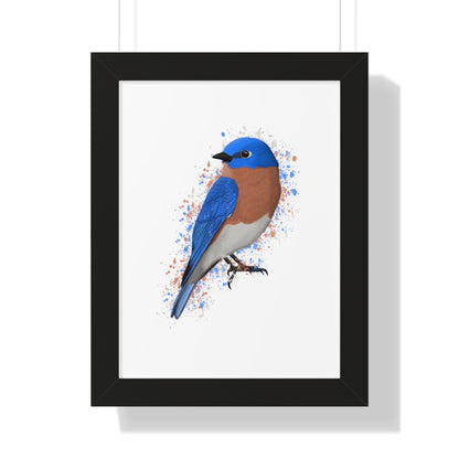 Bluebird Bird Framed Poster