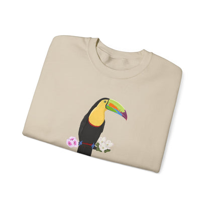 Keel-Billed Toucan Birdlover Ornithologist Bird Sweatshirt