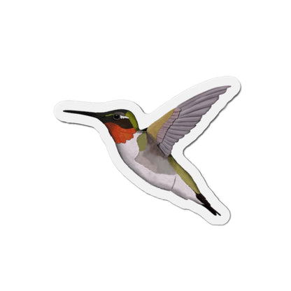 Hummingbird Bird Magnet