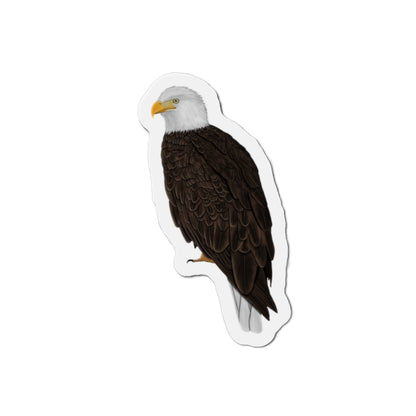 Bald Eagle Bird Magnet