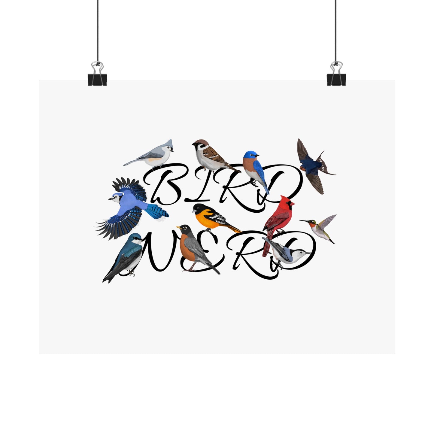 Bird Nerd Robin Cardinal Blue Jay Bird Birding Matte Poster