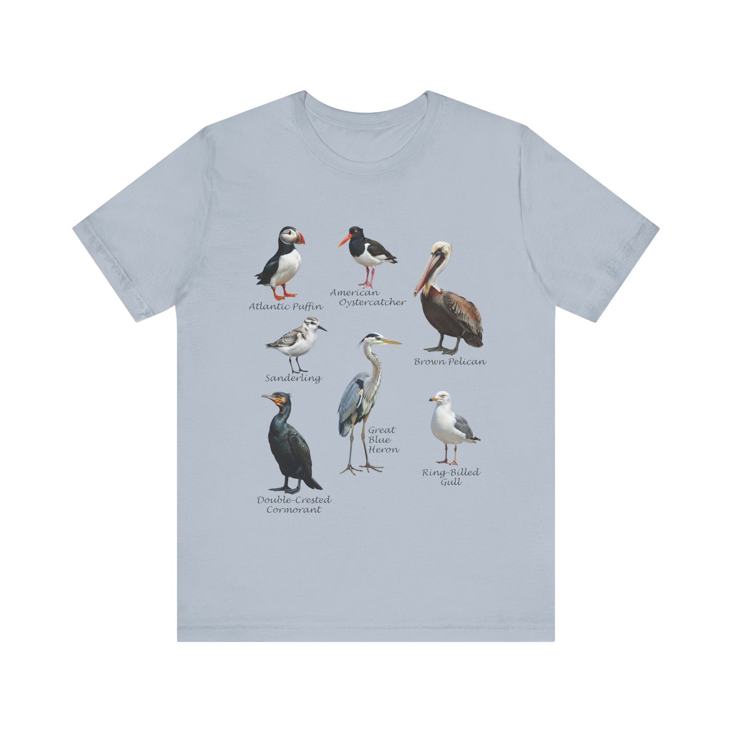 North American Shorebirds Shirt – Pelican, Heron, Puffin & Gull Field Guide