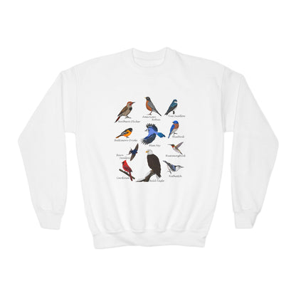 Bald Eagle Blue Jay Bluebird Robin Cardinal Hummingbird Bird Birdwatching Youth Crewneck Sweatshirt