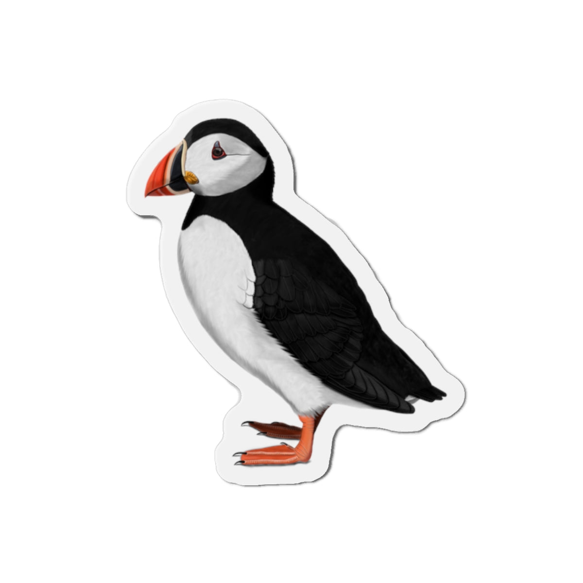 Puffin Bird Magnet