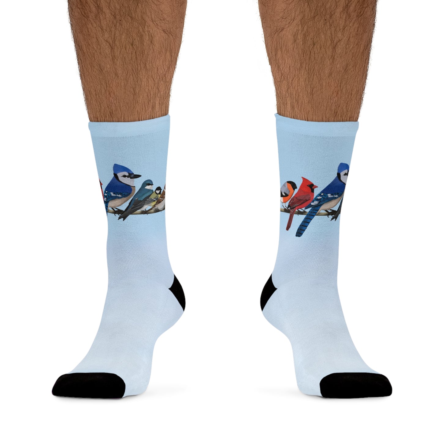 Garden Birds Blue Jay Cardinal Bullfinch Birding & Birdwatching Bird Socks Blue