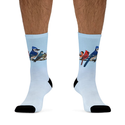 Garden Birds Blue Jay Cardinal Bullfinch Birding & Birdwatching Bird Socks Blue