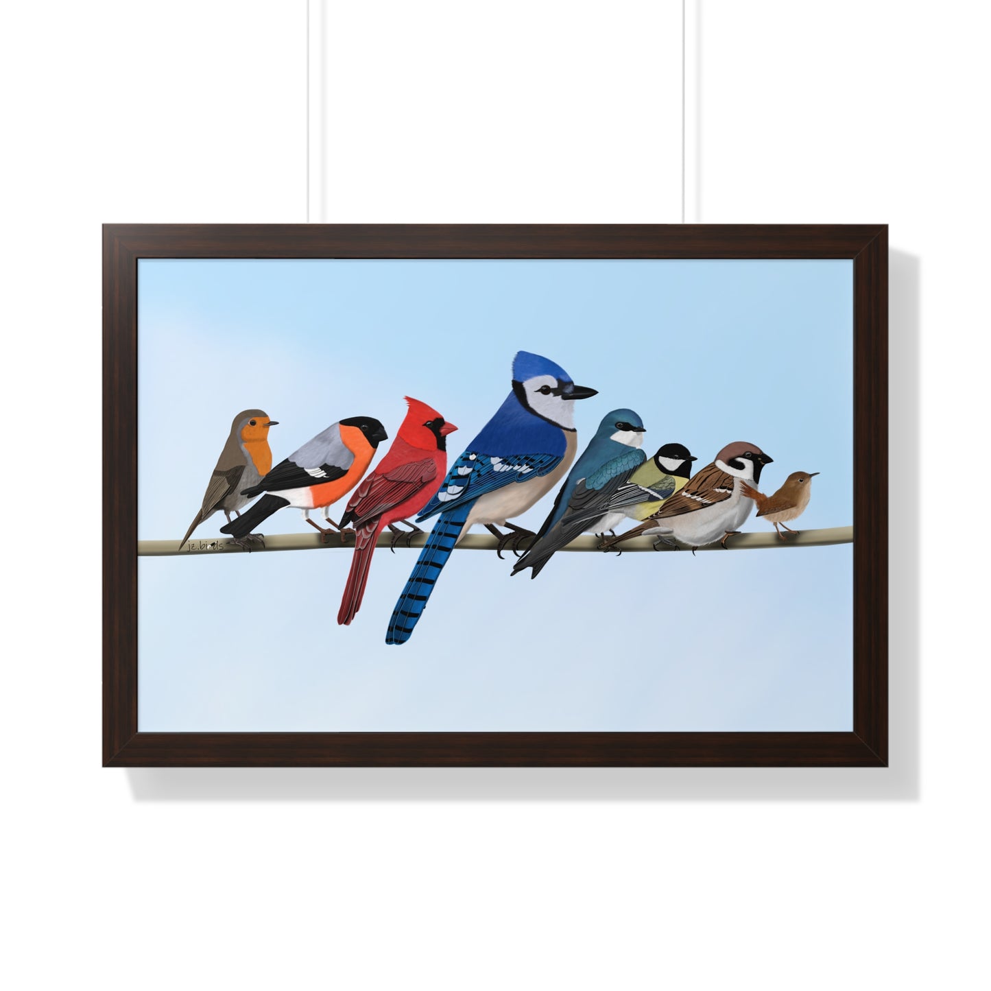 Garden Birds Blue Jay Cardinal Bullfinch Spring Blossoms Bird Framed Poster