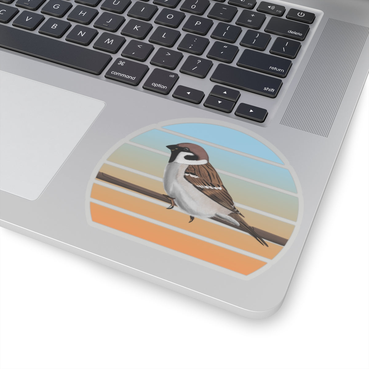 Tree Sparrow Bird Sticker