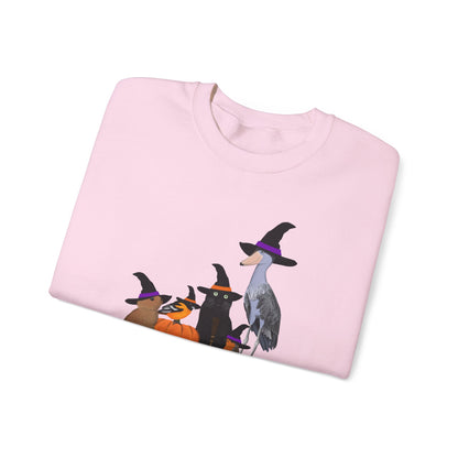 Robin Shoebill Oriole Rabbit with Cat Halloween Birds Sweatshirt