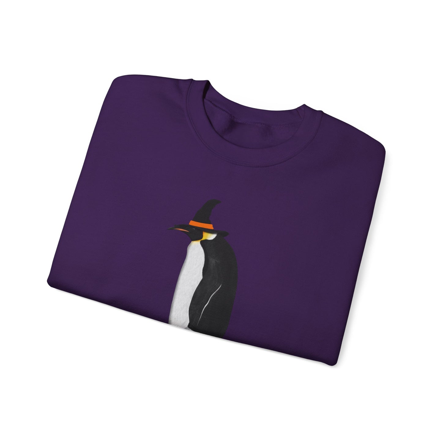 Penguin Halloween Birds Witch Birdwatcher Sweatshirt