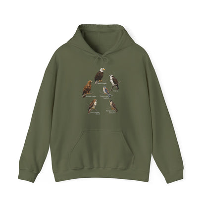 North American Raptors Hoodie – Bald Eagle, Hawk & Osprey Pullover