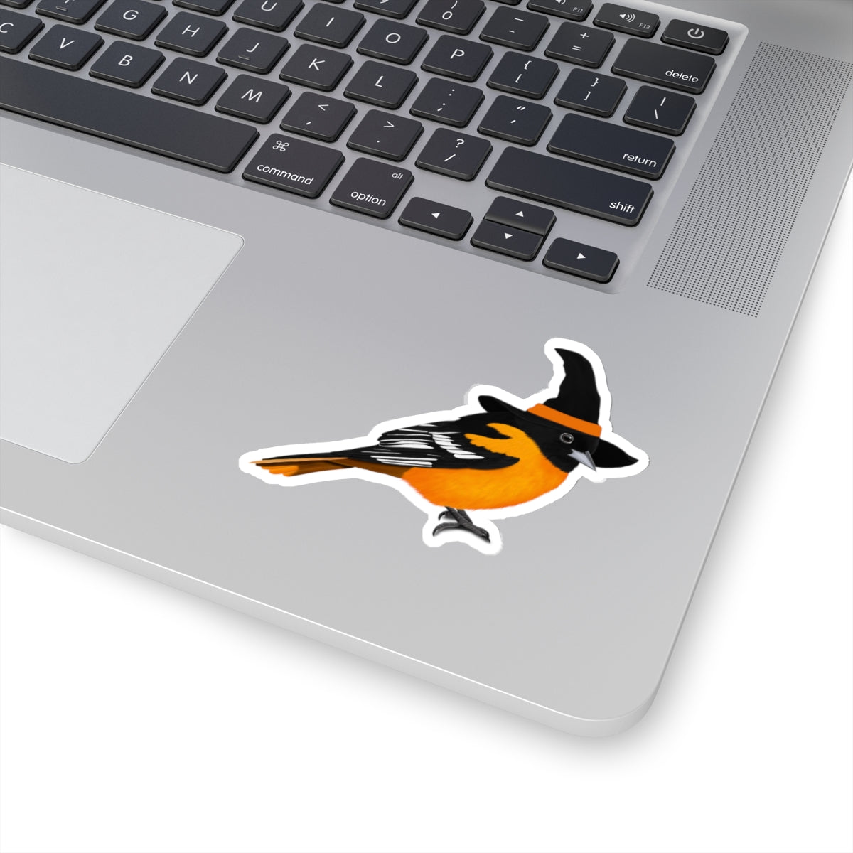 Baltiore Oriole Halloween Witch Hat Bird Sticker