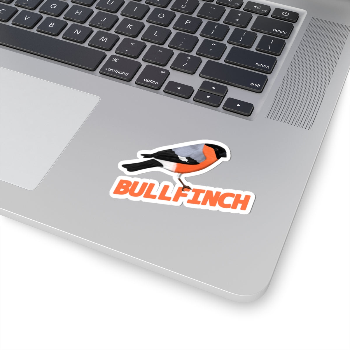 Bullfinch Sticker Bird Lover & Bird Watcher