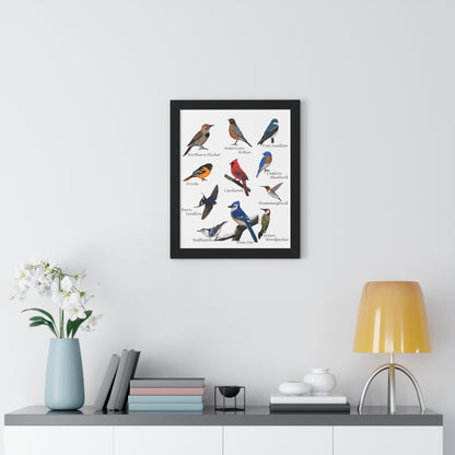 Backyard Birds Blue Jay Robin Cardinal Nuthatch Oriole Framed Poster