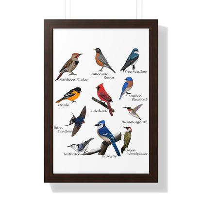 Backyard Birds Blue Jay Robin Cardinal Nuthatch Oriole Framed Poster